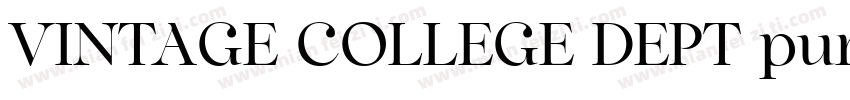 VINTAGE COLLEGE DEPT pure DEMO字体转换